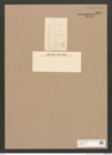 Diatomeae indet. Zeichnungen Sammlung Grunow Nr. 3300 (NHMW-BOT-W0370790)